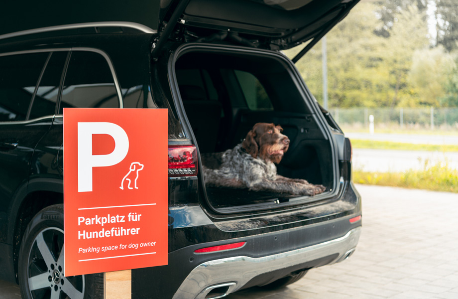 Hundeparkplatz Landscheid | TARGET WORLD